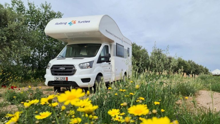 Rolling Turtles - Motorhome Kronos 271 M 20